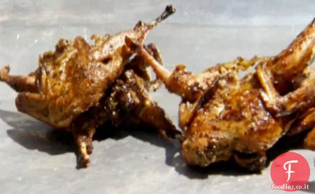 Quaglia del Texas alla griglia