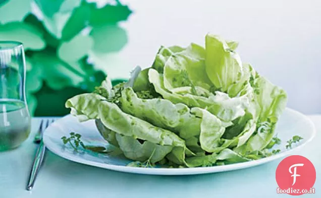 Insalata di lattuga di Boston con erbe