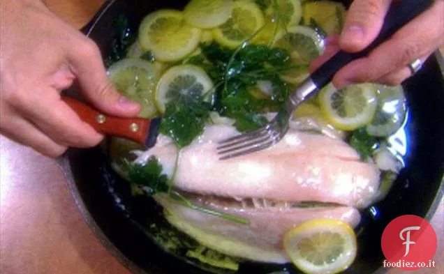 Passera di mare in camicia d'olio