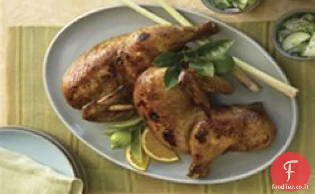 Salamoia di pollo salata