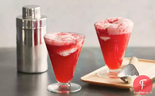 Blackberry Gin Fizz Float