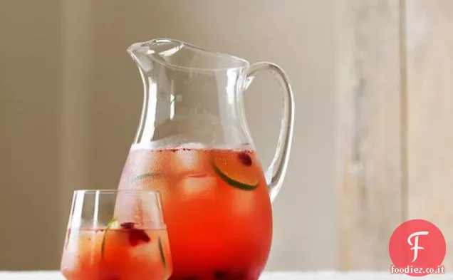 Cocktail di mirtilli rossi allo zenzero (vodka congelata o gin)