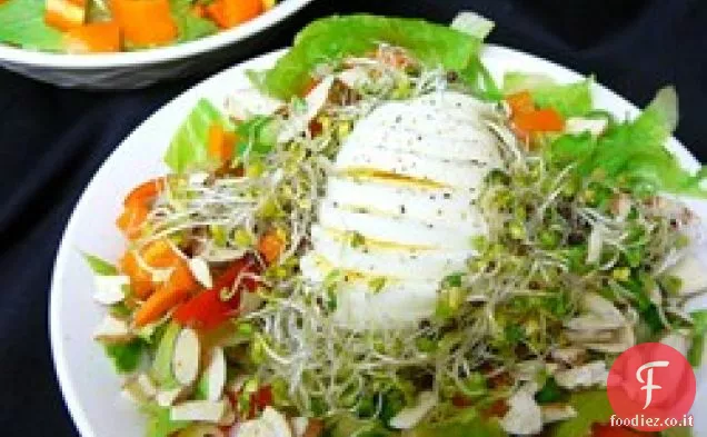 Insalata di nido d'uccello
