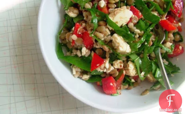 Insalata di lenticchie e orzo