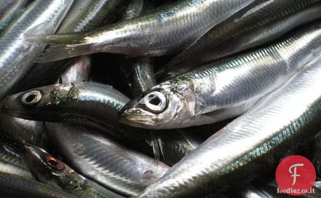 Cucinare il Libro Party Planner: Pasta con le Sarde