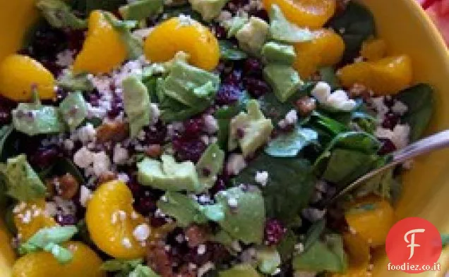 Insalata di mirtilli, noci smaltate, arancia, avocado e formaggio blu