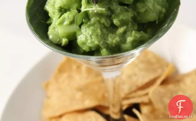 Ceviche di halibut dell'Alaska con Coriandolo-serrano