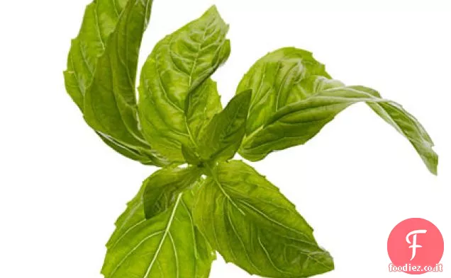 Basilico Sciroppo semplice
