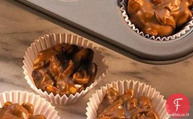 Burro di arachidi e cioccolato al latte Chip Cluster