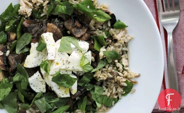 Mozzarella, Funghi e Riso Integrale