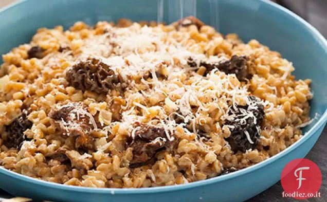 Risotto di Farro ai Funghi selvatici