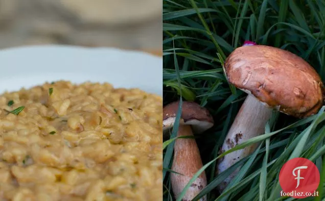 Risotto ai Porcini