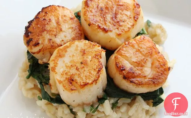 Capesante scottate su spinaci appassiti e risotto al parmigiano