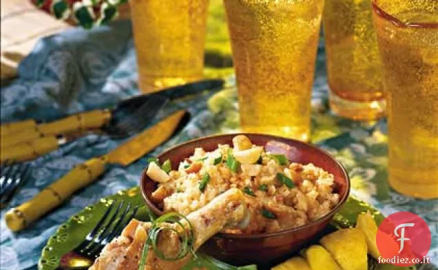 Isola di pollo e riso