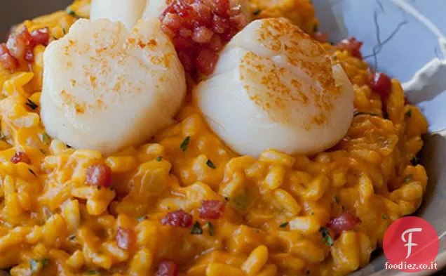 Risotto alla Zucca con Capesante scottate