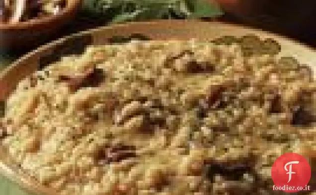 Risotto ai Porcini, Cipolla Caramellata e Salvia