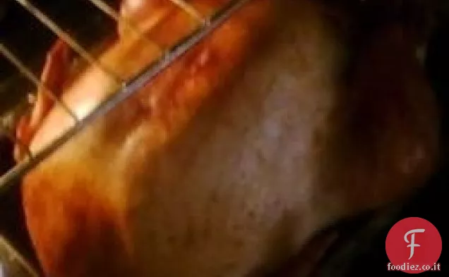 Il tacchino affamato di attenzione di umidità