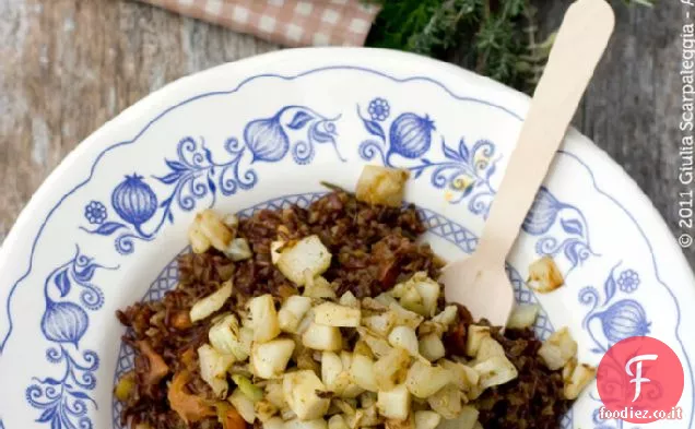 Riso Rosso della Camargue con Finocchio Confit