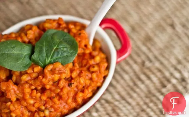 Risotto d'orzo al pomodoro facile e cremoso