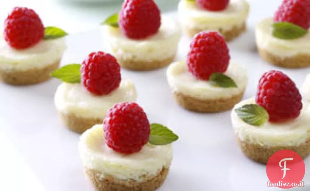 Berry Mini Cheesecake