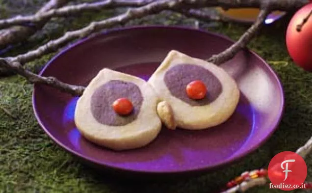 Biscotti gufo