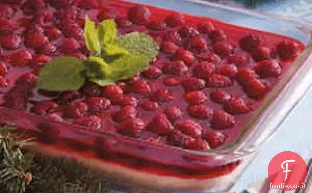 Dessert al gelato al lampone