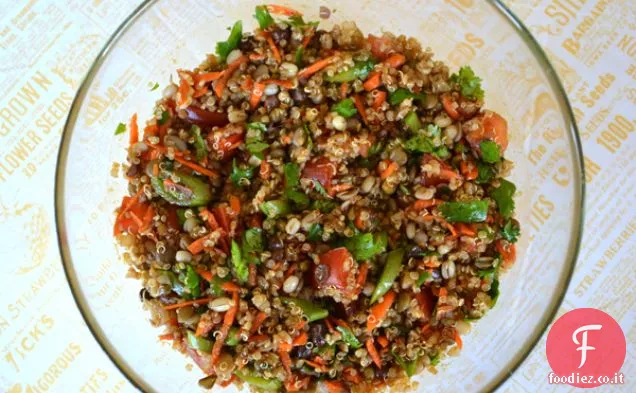 Curry Quinoa & Insalata di fagioli germogliati