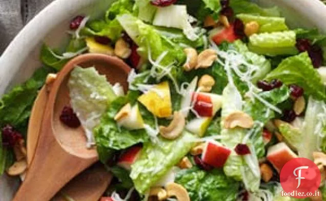 Insalata di lattuga di vacanza