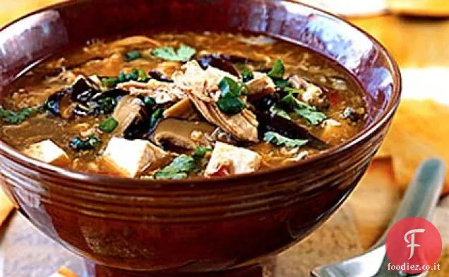 Zuppa calda e acida