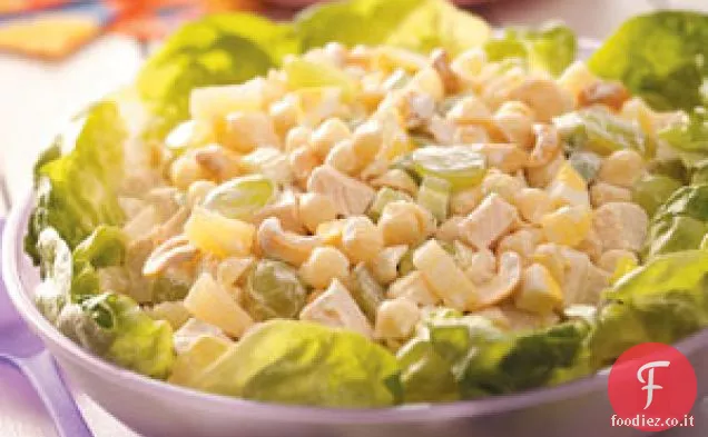 Insalata di pollo per 50