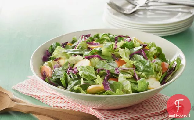 Insalata di verdure del giardino