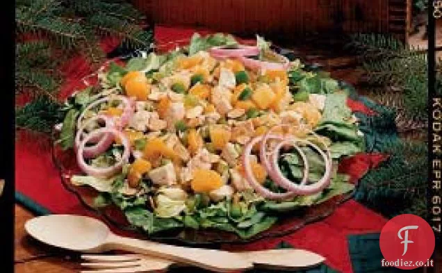 Insalata di tacchino tropicale