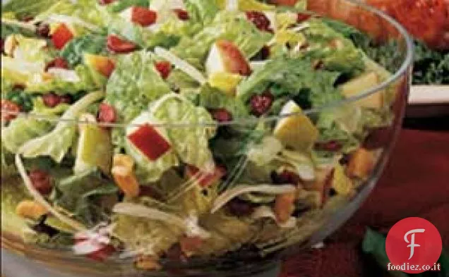 Insalata gettata festiva
