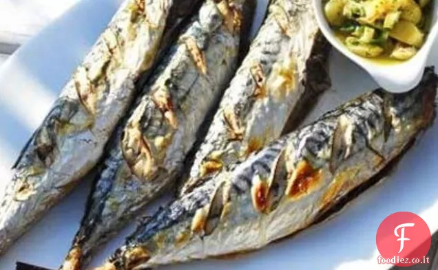 Sgombro con Salsa al limone