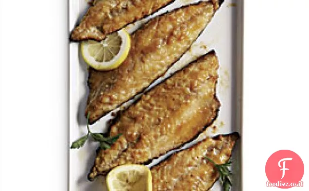 Miso-sgombro atlantico torrefatto