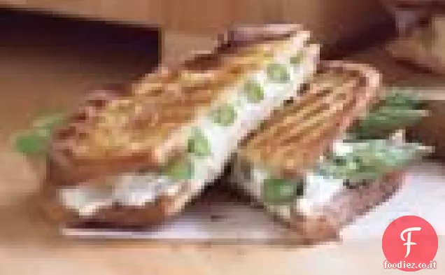 Panini con Asparagi e Formaggio di Capra