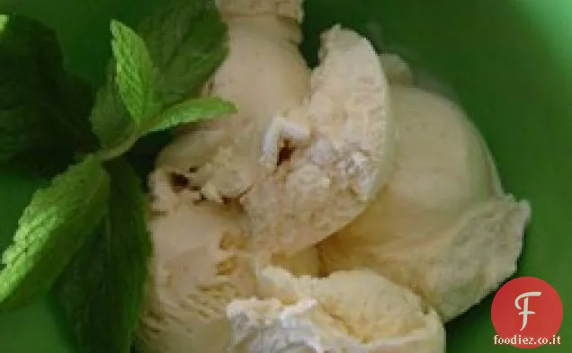 Gelato alla Vaniglia VII
