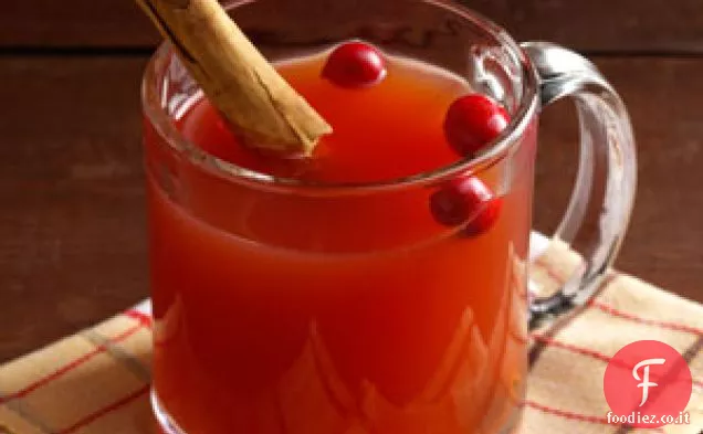 Sidro di mirtilli rossi a cottura lenta