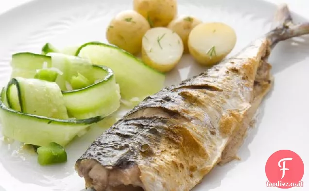 Sgombro con insalata di cetrioli