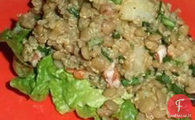 Insalata di lenticchie al curry fruttato