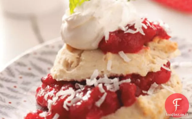 Shortcakes al mirtillo di cocco