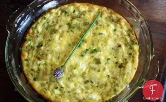 Porro Frittata Dana Trattare Originale