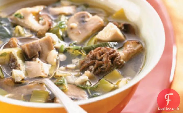 Zuppa di funghi di pollo con porri