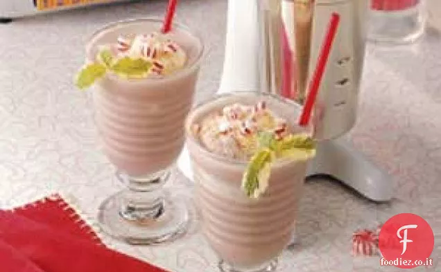 Malto Cioccolato Menta Piperita