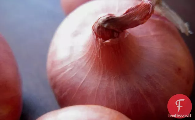 Cipolle Cipolline ripiene