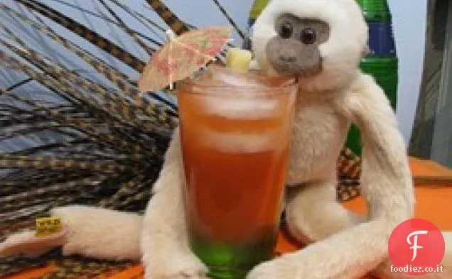 Scimmia ubriaca