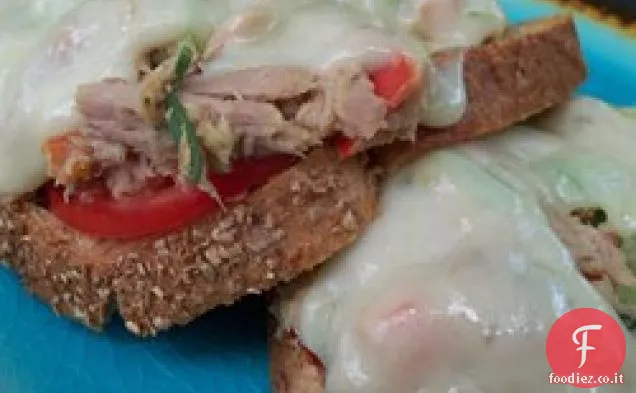 Ripieno di sandwich al tonno senza maionese