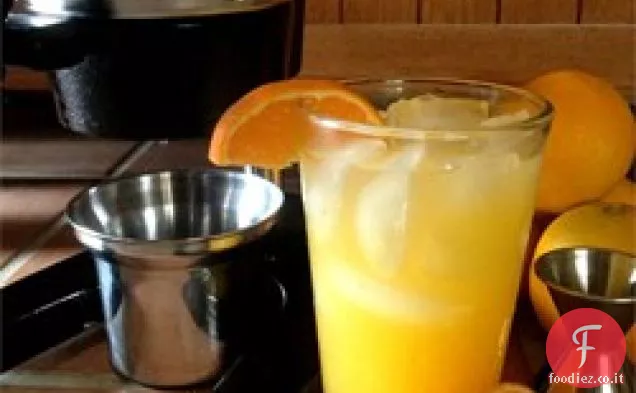 Cotta all'arancia! Cocktail di arancia spremuta fresca e vodka