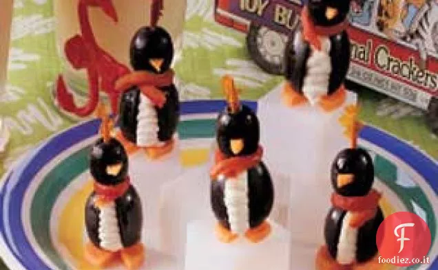 Pinguini olivastri vivaci