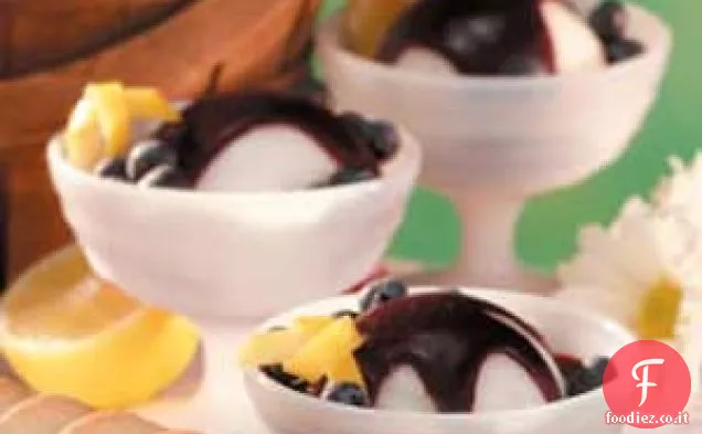 Salsa di Mirtilli per Sorbetto
